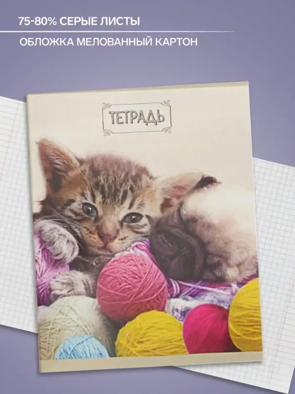Тетрадь 48 листов в клетку Calligrata «Милые котята», обложка мелованный картон, блок №2, белизна 75% (серые листы), МИКС