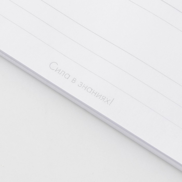 Ежедневник на гребне «Воспитателю: Лучшего воспитателя» формат А5, 60 листов Ежедневник на гребне «Воспитателю: Лучшего воспитателя» формат А5, 60 листов