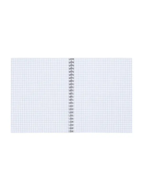 Компл тетр из 3шт 80л кл на гребне Capy, обл мел карт, офсет (7424104)