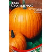 Семена Тыква Большой Макс 5 шт