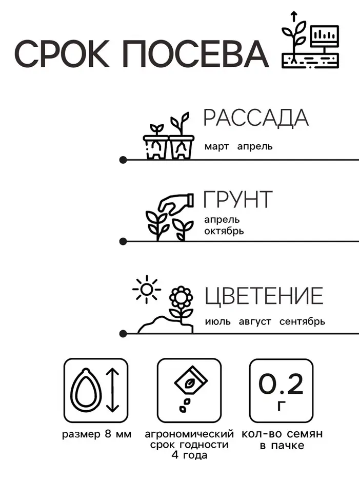 Семена Астра "Тысяча чудес", ц/п,  карминная, 0,2 гр.
