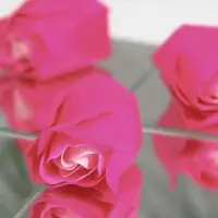 Мыльные розочки, розовая фуксия, набор 24 шт., в коробке