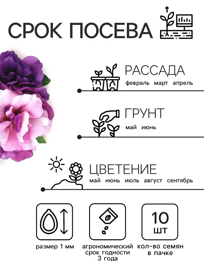 Семена цветов Петуния махровая каскадная &laquo;Блю & Орхид&raquo;, F1, смесь, 5 шт., однолетник, Premium seeds