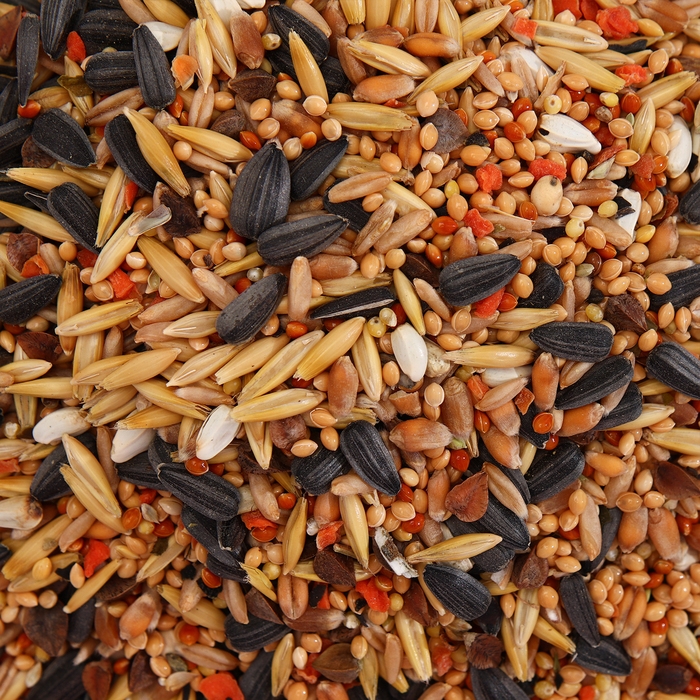 Корм  Корм "Пижон" для средних попугаев, с витаминами и минералами, 400 г