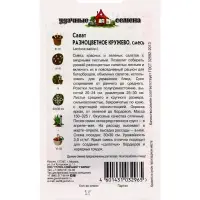 Семена Салат Разноцветное кружево 1,0 г смесь Уд. с. Семян больше