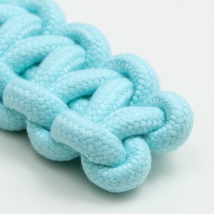 Игрушка канатная Игрушка канатная "Лапта", до 32 см, 90 г, мятная