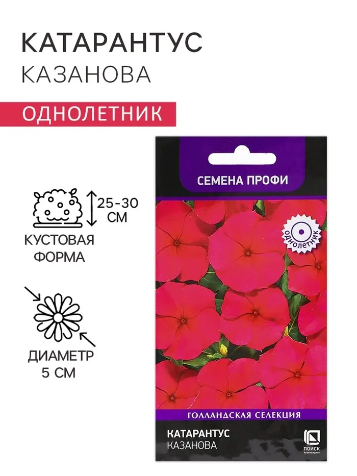 Семена цветов Катарантус "Казанова", 10шт Семена цветов Катарантус "Казанова", 10шт