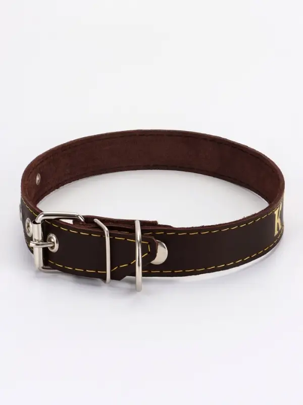 Ошейник однослойный Ошейник однослойный "Красотка", 2.5 см, тиснение фольгой, микс цветов