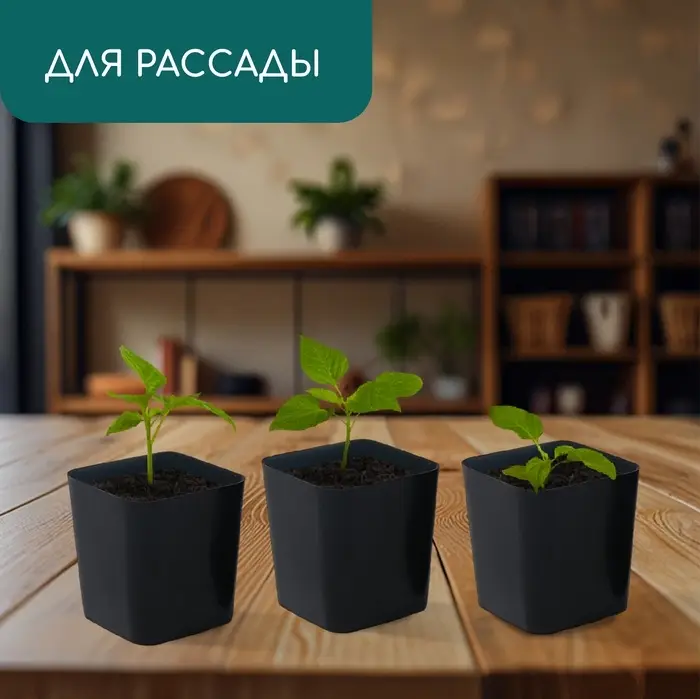 Горшок для рассады, 500 мл, d=8.5 см, h=10 см, пластик, чёрный, Greengo Горшок для рассады, 500 мл, d=8.5 см, h=10 см, пластик, чёрный, Greengo