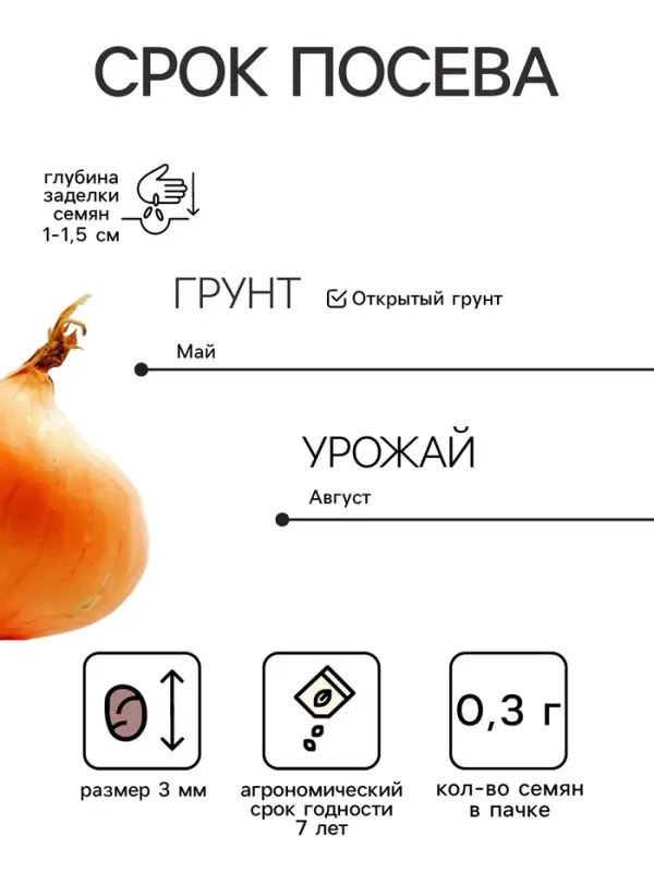 Семена Лук репчатый &laquo;Эксибишен&raquo;, 0.3 г, &laquo;Аэлита&raquo;