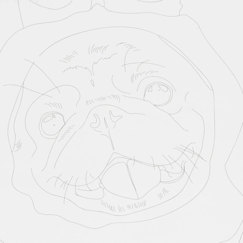 Набор для рисования Скетчинг акварелью Модные пёсики, Рн-044