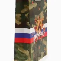 Пакет ламинированный &laquo;С 23 февраля!&raquo;, 31&times;40&times;11.5 см