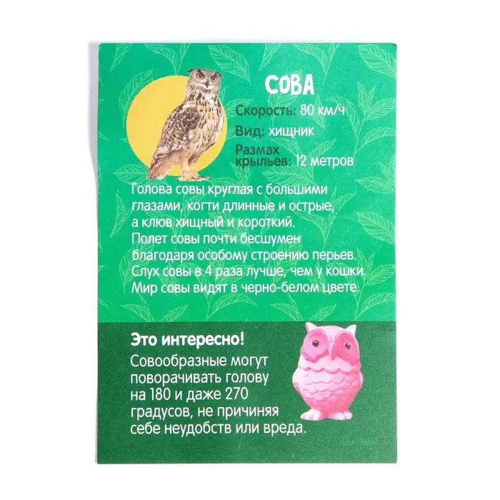 Растущие животные в яйце &laquo;Сова&raquo; МИКС