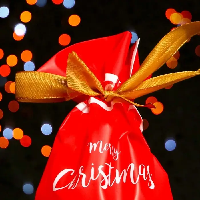 Пакет полиэтиленовый подарочный «Олень», с завязками, 15×23 см Пакет полиэтиленовый подарочный «Олень», с завязками, 15×23 см