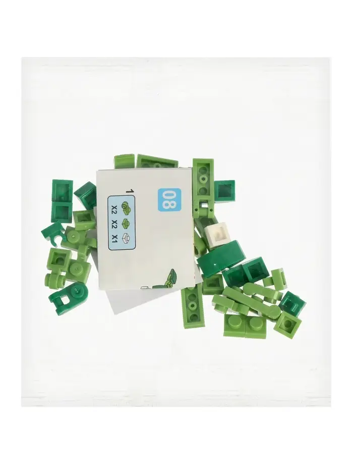 UNICON Конструктор "Дино мир", 12 в 1