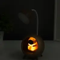 Ночник "Капибара в круглом кресле" LED 3Вт 5V USB АКБ 2 режима 8,5х8,5х25,5 см Ночник "Капибара в круглом кресле" LED 3Вт 5V USB АКБ 2 режима 8,5х8,5х25,5 см