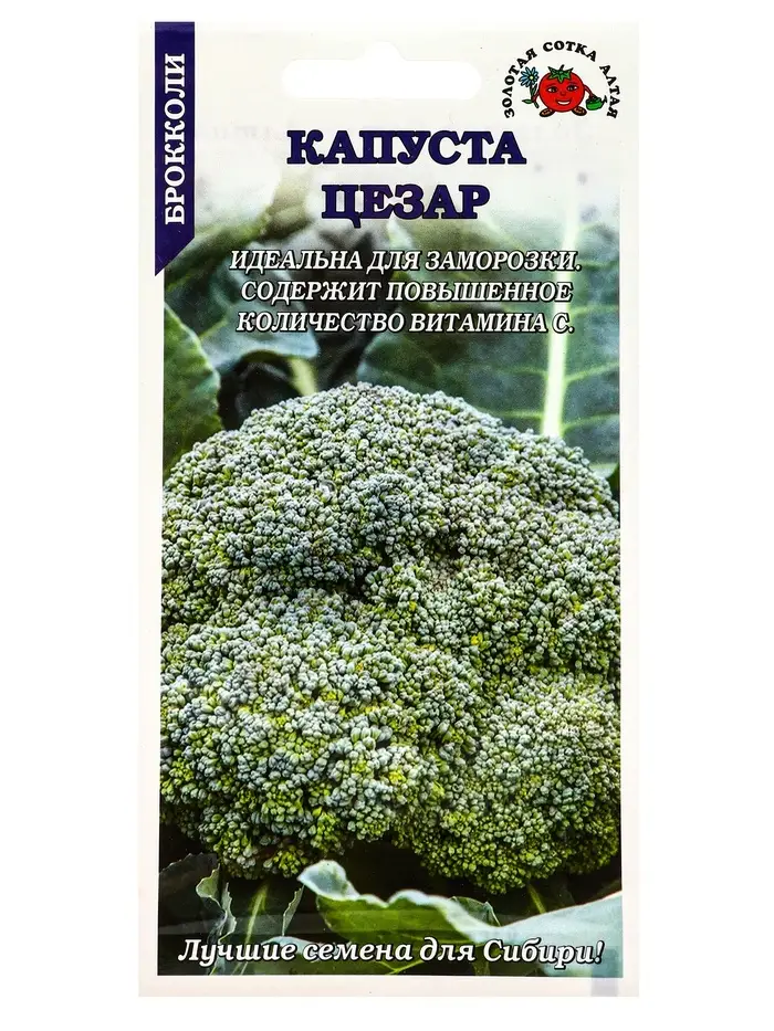 Семена Капуста брокколи Цезар /Сотка/ 0,3г / среднеран. 350-450 г/*1200