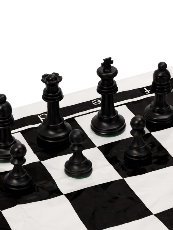 Шахматы 50 х 50 см, король h-7 см, d-3.2 см, фигуры пластик Шахматы 50 х 50 см, король h-7 см, d-3.2 см, фигуры пластик