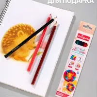 Карандаши Calligrata, цветные, 6 цветов, трёхгранные, пластиковые, эконом, МИКС