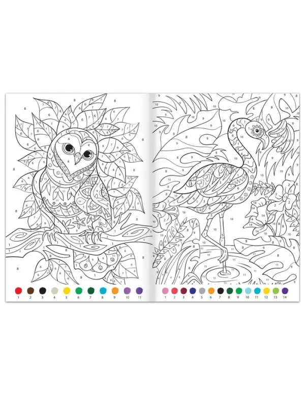 Раскраски по номерам &laquo;Для девочек&raquo;, набор 4 шт., по 16 стр.