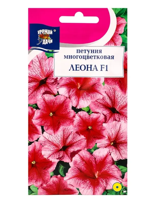 Семена цветов Петуния мног.ЛЕОНА F1  10
