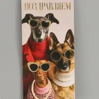 Конверт для денег &laquo;Поздравляю&raquo;, пёсики, тиснение, 16.5&times;8 см