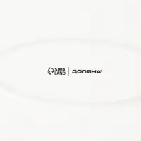 Блюдо фарфоровое овальное Доляна &laquo;Коты-аристократы&raquo;, 30.5&times;17 см