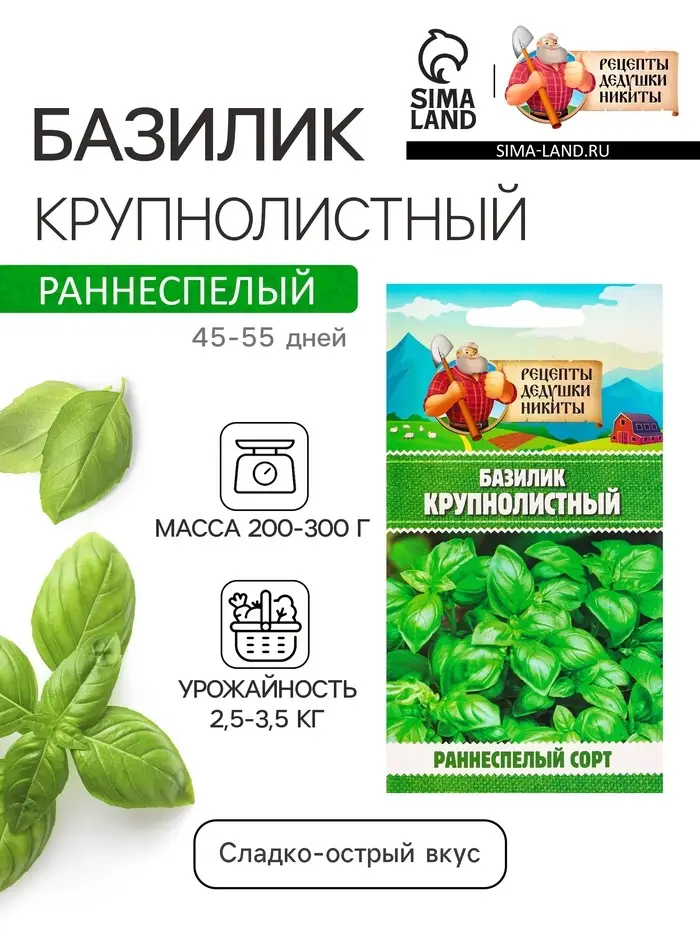 Семена Базилик &laquo;Крупнолистный&raquo;, 0.2 г, &laquo;Рецепты дедушки Никиты&raquo;