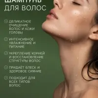 Шампунь для волос DREAM NATURE sylria, 330 мл