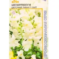 Семена Антиринум цветочные ливни F1 Вайт, 10 шт Семена Антиринум цветочные ливни F1 Вайт, 10 шт
