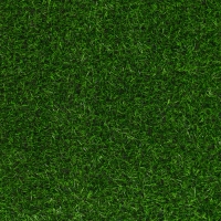 Газон искусственный, ворс 20 мм, 1 × 2 м, зелёный, Greengo
