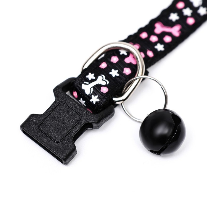 Ошейник двухслойный с фастексом Ошейник двухслойный с фастексом "Звездные косточки", 30 х 1 см, микс цветов