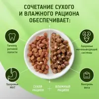 Сухой корм Whiskas для кошек, Телятинка аппетитная, 1.3 кг Сухой корм Whiskas для кошек, Телятинка аппетитная, 1.3 кг