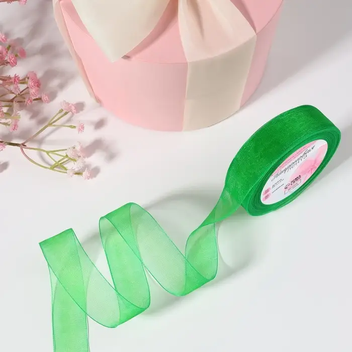 Лента капроновая, 20 мм, 20&plusmn;1 м, зелёная №19