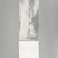 Пакет с жестким дном, 14&times;14&times;45 &laquo;Прозрачный&raquo;