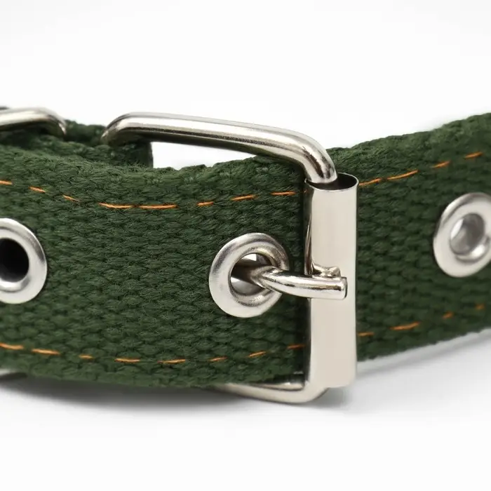 Брезентовый ошейник, 59.5&times;2.5 см, двухслойный, цвет хаки
