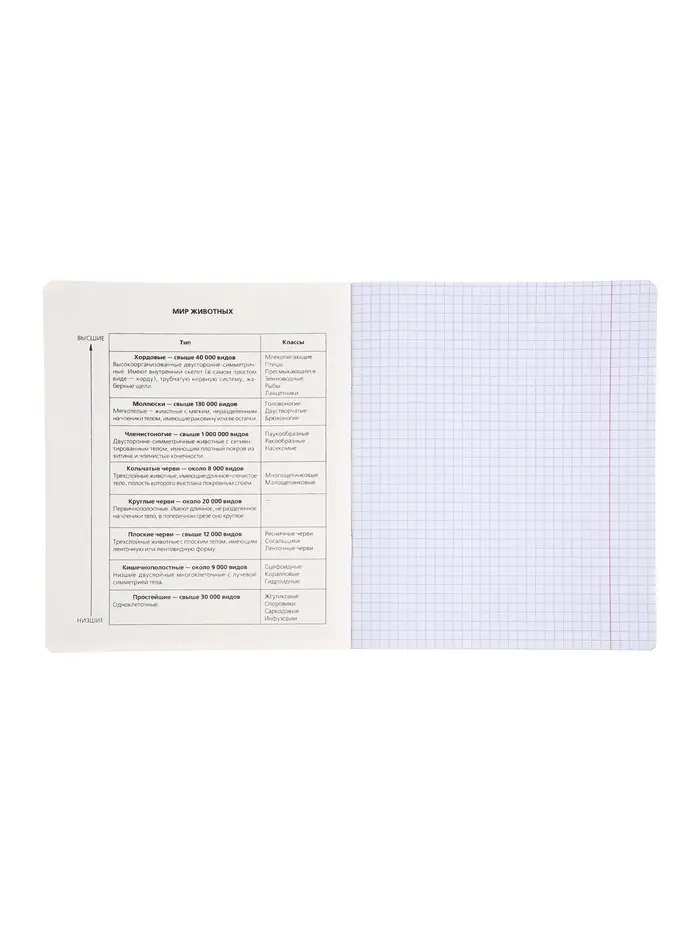 Комплект 12 предметных тетрадей 48 листов, справочная информация, 60гр, пластиковая обложка   109633