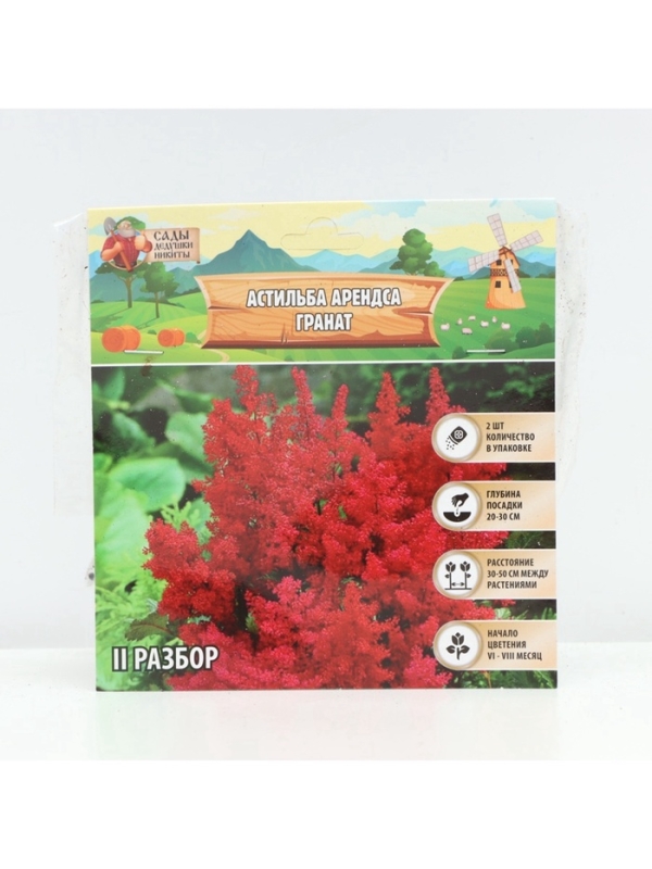Астильба Арендса Granatмноголетник, корневище в торфогрунте, р-р II, 2 шт.