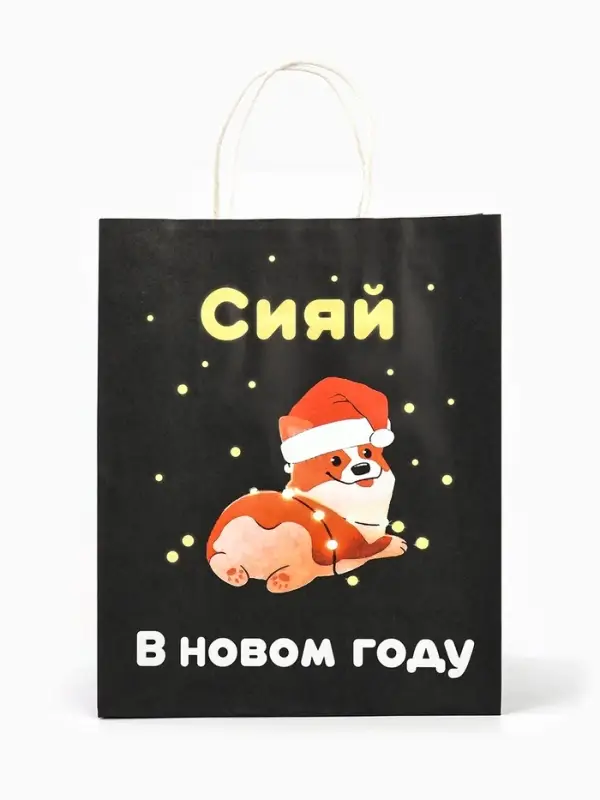 Пакет бумажный подарочный новогодний крафт &laquo;Сияй&raquo;, 27&times;21&times;11 см