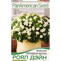 Семена цветов Экзакум (Персидская фиалка) Роял дэйн вайт (драже) PanAmerican, Ц/П,4 шт. Семена цветов Экзакум (Персидская фиалка) Роял дэйн вайт (драже) PanAmerican, Ц/П,4 шт.