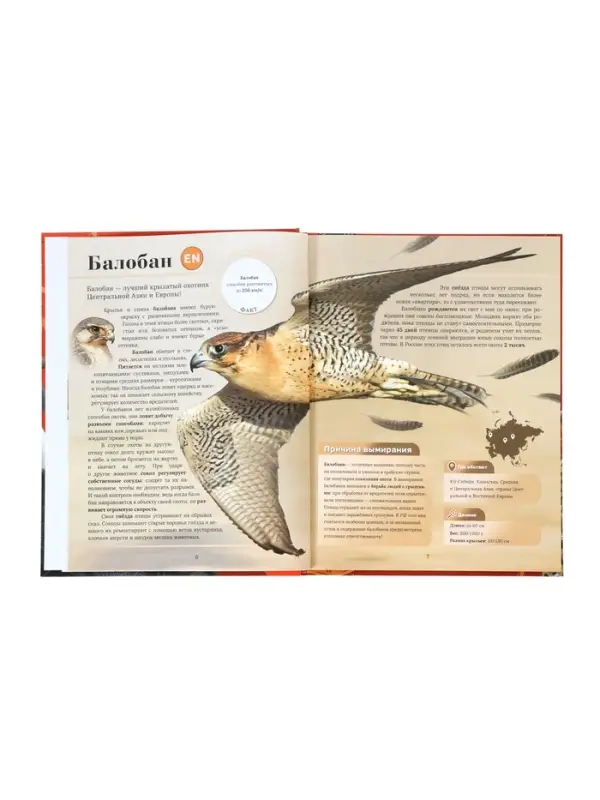 Энциклопедия &laquo;Красная книга мира&raquo;, 160 стр., книга в твёрдом переплёте