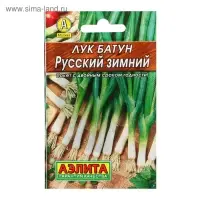 Семена Лук батун "Русский зимний" "Лидер", 1 г   ,