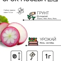 Семена Редька &laquo;Зимняя&raquo; круглая, чёрная, 1 г, &laquo;Агрофирма АЭЛИТА&raquo;
