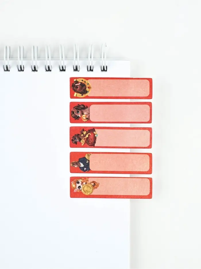 Подарочный набор: Стикеры планинг и ручка "Купюра"