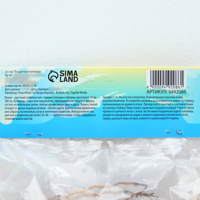 Лилии видовые Лилии видовые "Fusion", р-р 12/14, 2 шт,