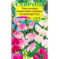 Семена цветов Чина посевная декоративная (Горошек) &laquo;Разноцветье&raquo; смесь, 0.5 г