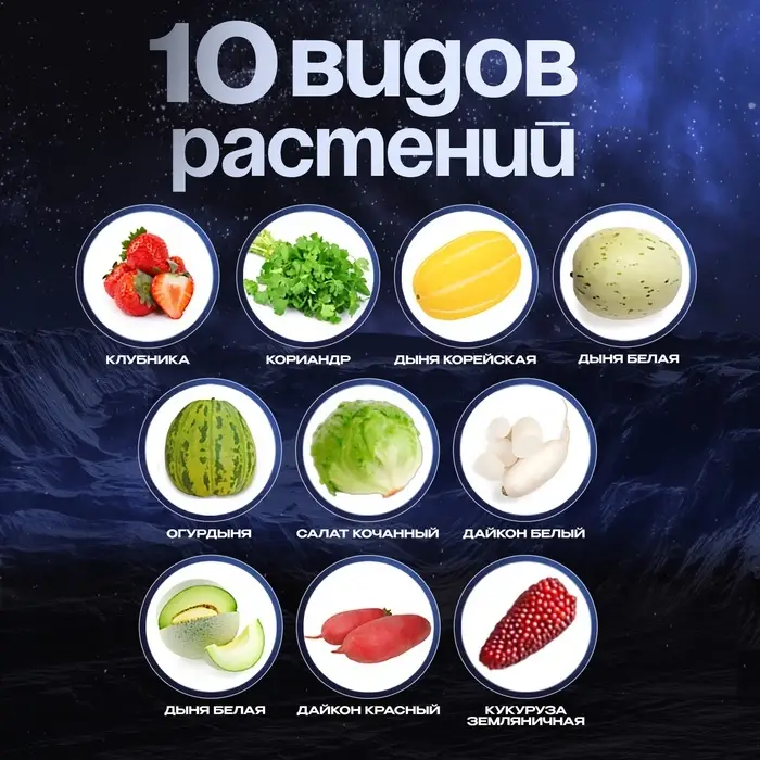 Набор для опытов «Моя мини-ферма», выращивание растений, в космосе Набор для опытов «Моя мини-ферма», выращивание растений, в космосе