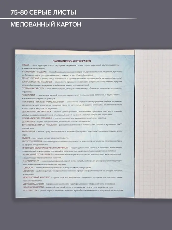 Тетрадь предметная 48 листов в клетку Calligrata &laquo;3D. География&raquo;, серые листы