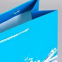 Пакет подарочный ламинированный &laquo;Чёткий акцент&raquo;, 26&times;12&times;32 см
