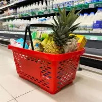 Корзина покупательская пластиковая 28 л, 51.5&times;34&times;26 см, красная